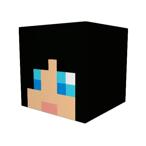 yasinn Minecraft avatar head, 3D render