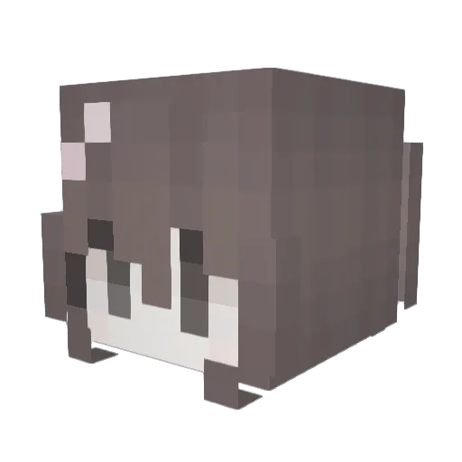 yasioverlxrd Minecraft avatar head, 3D render