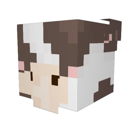 yasmeeniscool Minecraft avatar head, 3D render