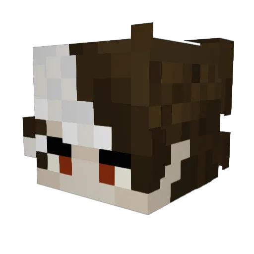 yasshanako Minecraft avatar head, 3D render
