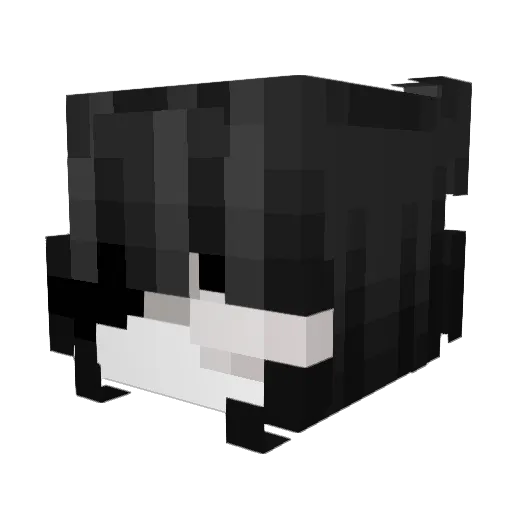 yawningcat54 Minecraft avatar head, 3D render