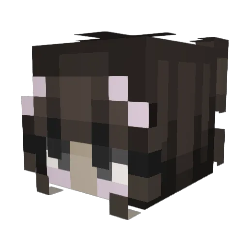 yawway Minecraft avatar head, 3D render