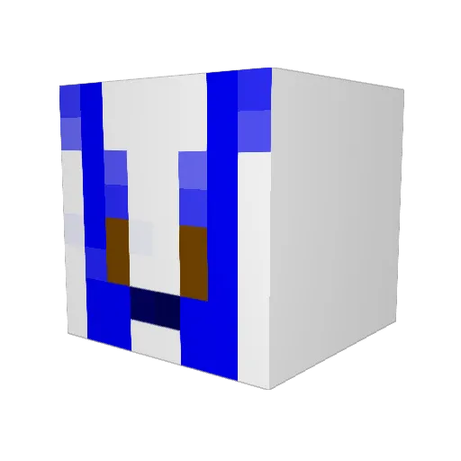 yay1001001 Minecraft avatar head, 3D render