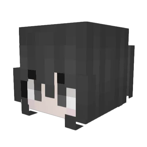 yay16 Minecraft avatar head, 3D render