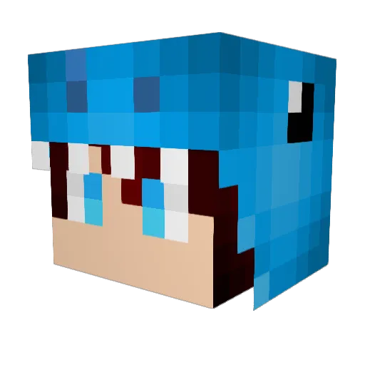 yayadubleu Minecraft avatar head, 3D render