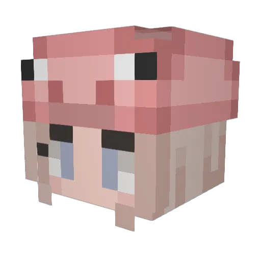 yaypig Minecraft avatar head, 3D render