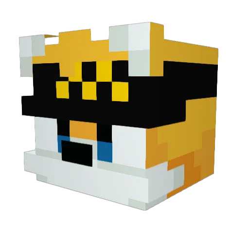 yaytimbo Minecraft avatar head, 3D render