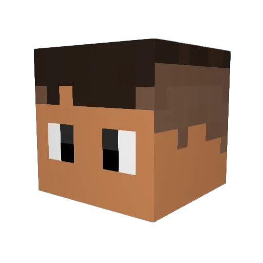 ybwaldo10 Minecraft avatar head, 3D render