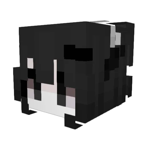 ybxn1 Minecraft avatar head, 3D render