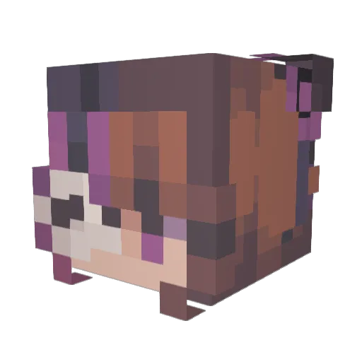 ycsmfd Minecraft avatar head, 3D render