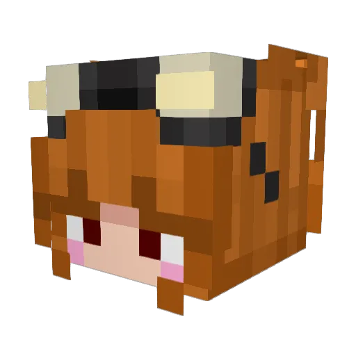 ydnam_ Minecraft avatar head, 3D render