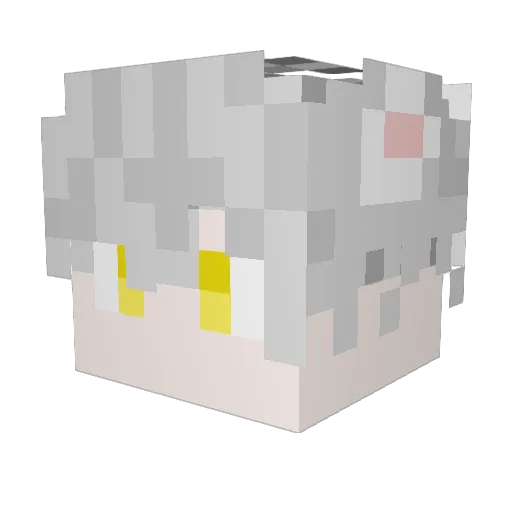 yee_doge Minecraft avatar head, 3D render