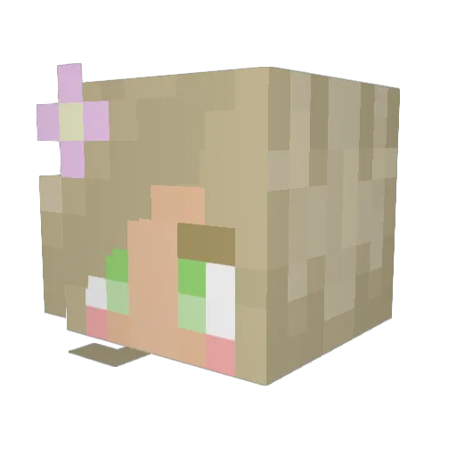 yeehawgary Minecraft avatar head, 3D render