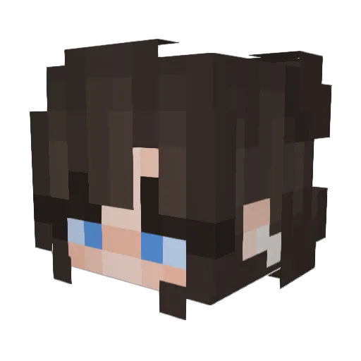 yeehawizzy Minecraft avatar head, 3D render