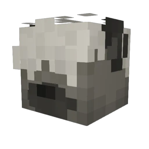 yeenaddict Minecraft avatar head, 3D render