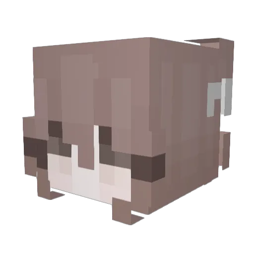 yeerri Minecraft avatar head, 3D render