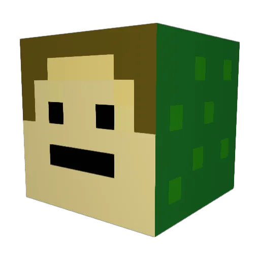 yeetboi20 Minecraft avatar head, 3D render