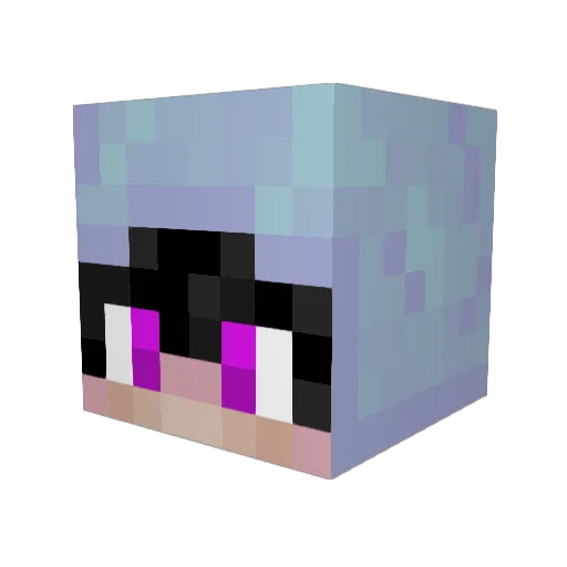 yeeter_mcgeeter8 Minecraft avatar head, 3D render