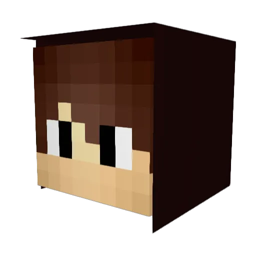 yeeterboy21 Minecraft avatar head, 3D render