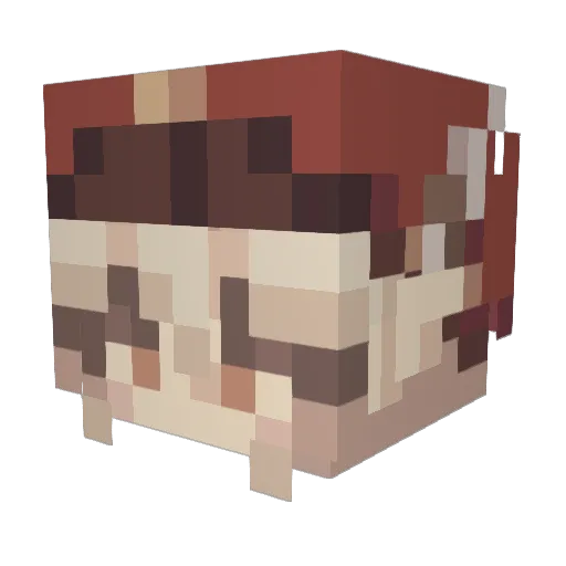 yeetmyflipflop_ Minecraft avatar head, 3D render
