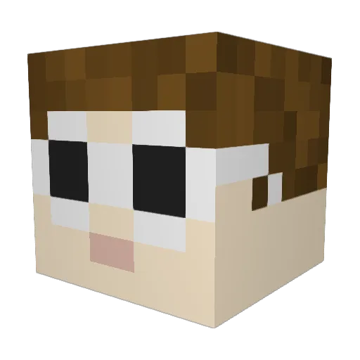 yeetswaggins Minecraft avatar head, 3D render
