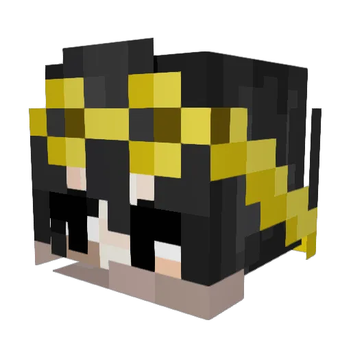 yeeyeepumpkin Minecraft avatar head, 3D render