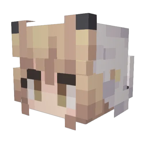 yei_shen Minecraft avatar head, 3D render