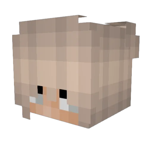 yelaa Minecraft avatar head, 3D render