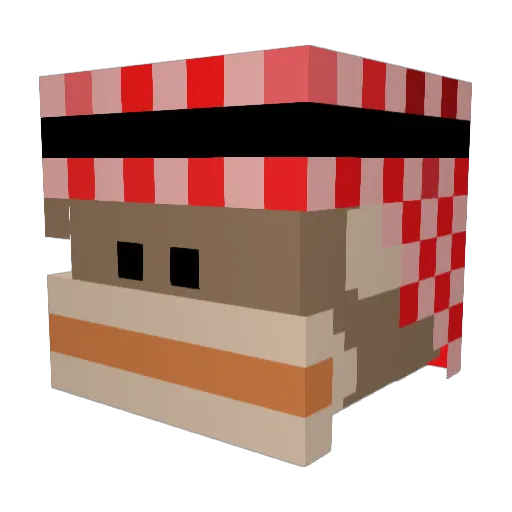 yeledhashoko Minecraft avatar head, 3D render