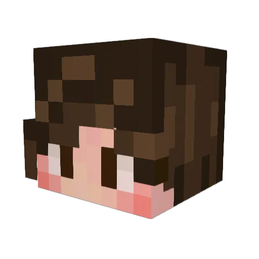 yelloekettle Minecraft avatar head, 3D render