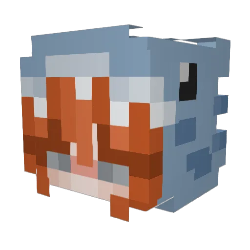 yelloitsemily Minecraft avatar head, 3D render