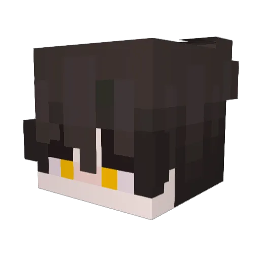 yellow_1110 Minecraft avatar head, 3D render