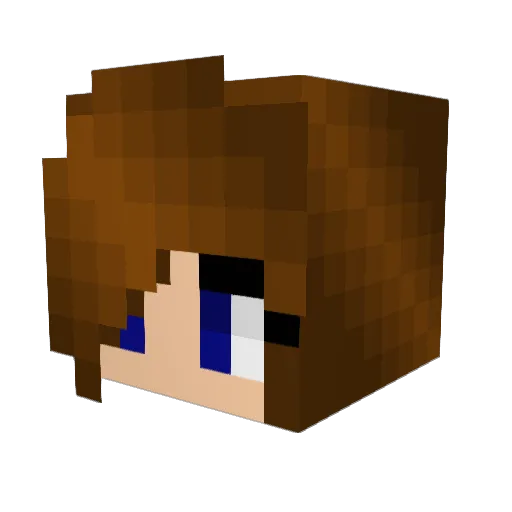 yellowbug257 Minecraft avatar head, 3D render