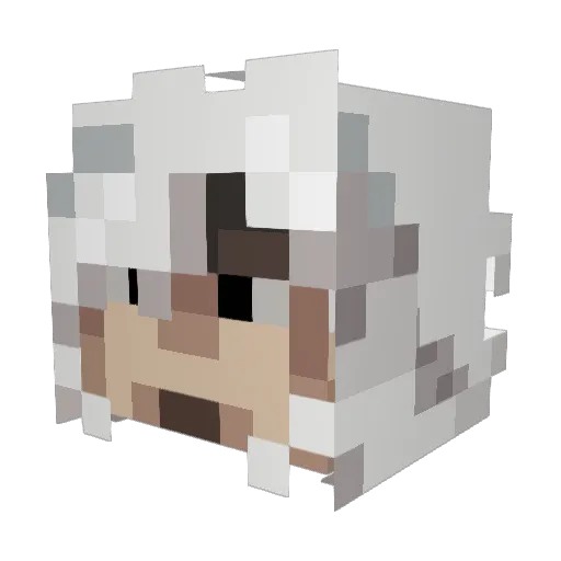 yellowfan123 Minecraft avatar head, 3D render