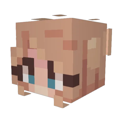 yellowgiraffe4 Minecraft avatar head, 3D render