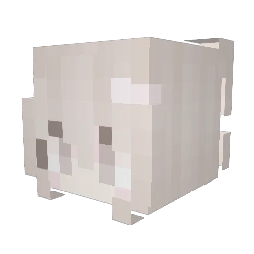 yellowsnow9 Minecraft avatar head, 3D render