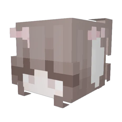 yellyskrt Minecraft avatar head, 3D render