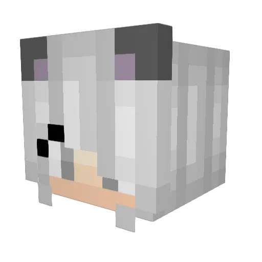 yenne123 Minecraft avatar head, 3D render