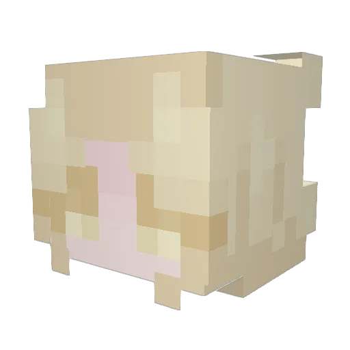 yeolum_e Minecraft avatar head, 3D render