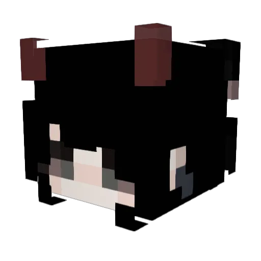 yepSemolina Minecraft avatar head, 3D render