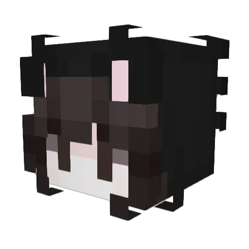 yerain1 Minecraft avatar head, 3D render