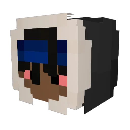 yerbaborys Minecraft avatar head, 3D render