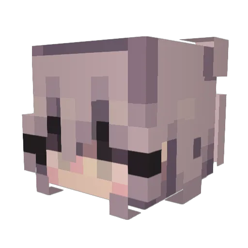 yerielia Minecraft avatar head, 3D render