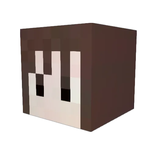 yes1009 Minecraft avatar head, 3D render