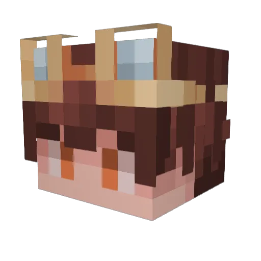 yesLucca Minecraft avatar head, 3D render