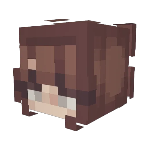 yethjxn Minecraft avatar head, 3D render