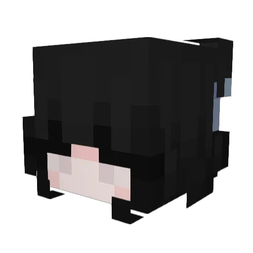 yetiking303 Minecraft avatar head, 3D render