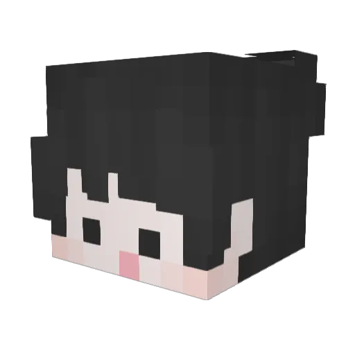 yhs1321092 Minecraft avatar head, 3D render