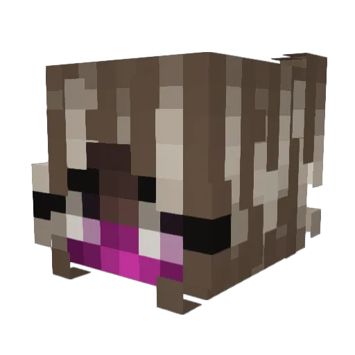 yiaraa Minecraft avatar head, 3D render