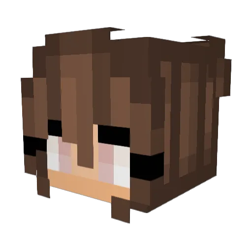 yikes4 Minecraft avatar head, 3D render